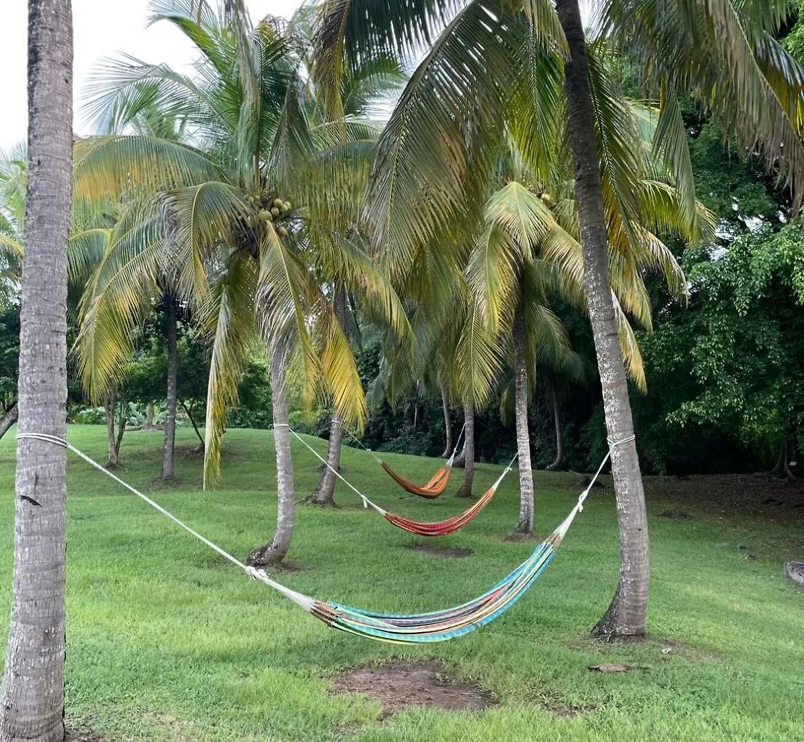 Couleur Caraibes-Ti Creole Appartement Pierre Et Vacances Acces Plage Et Piscine Sainte-Luce 0*,