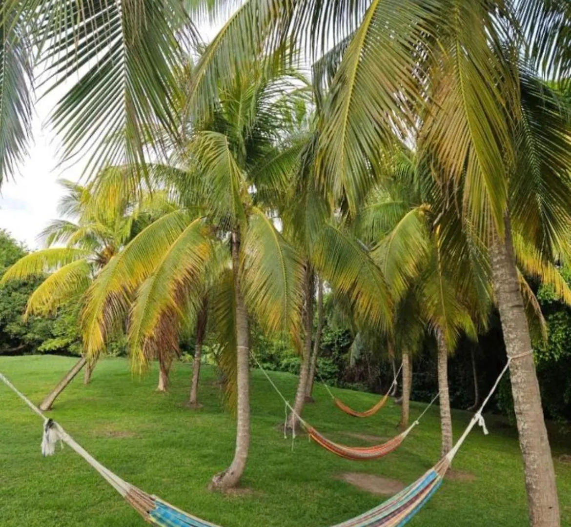 Couleur Caraibes-Ti Creole Appartement Pierre Et Vacances Acces Plage Et Piscine Sainte-Luce 0*,  Martinik